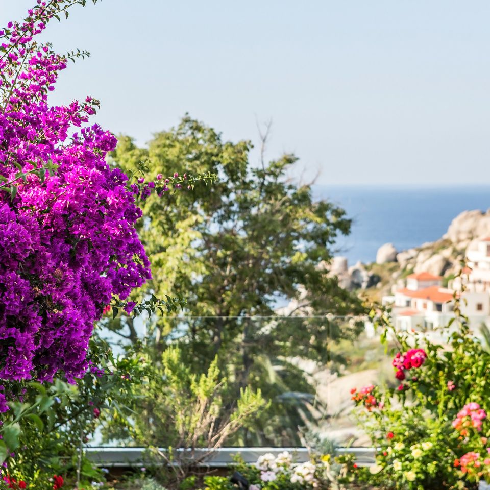 Jardins de l'hôtel à Calvi avec vue sur la mer